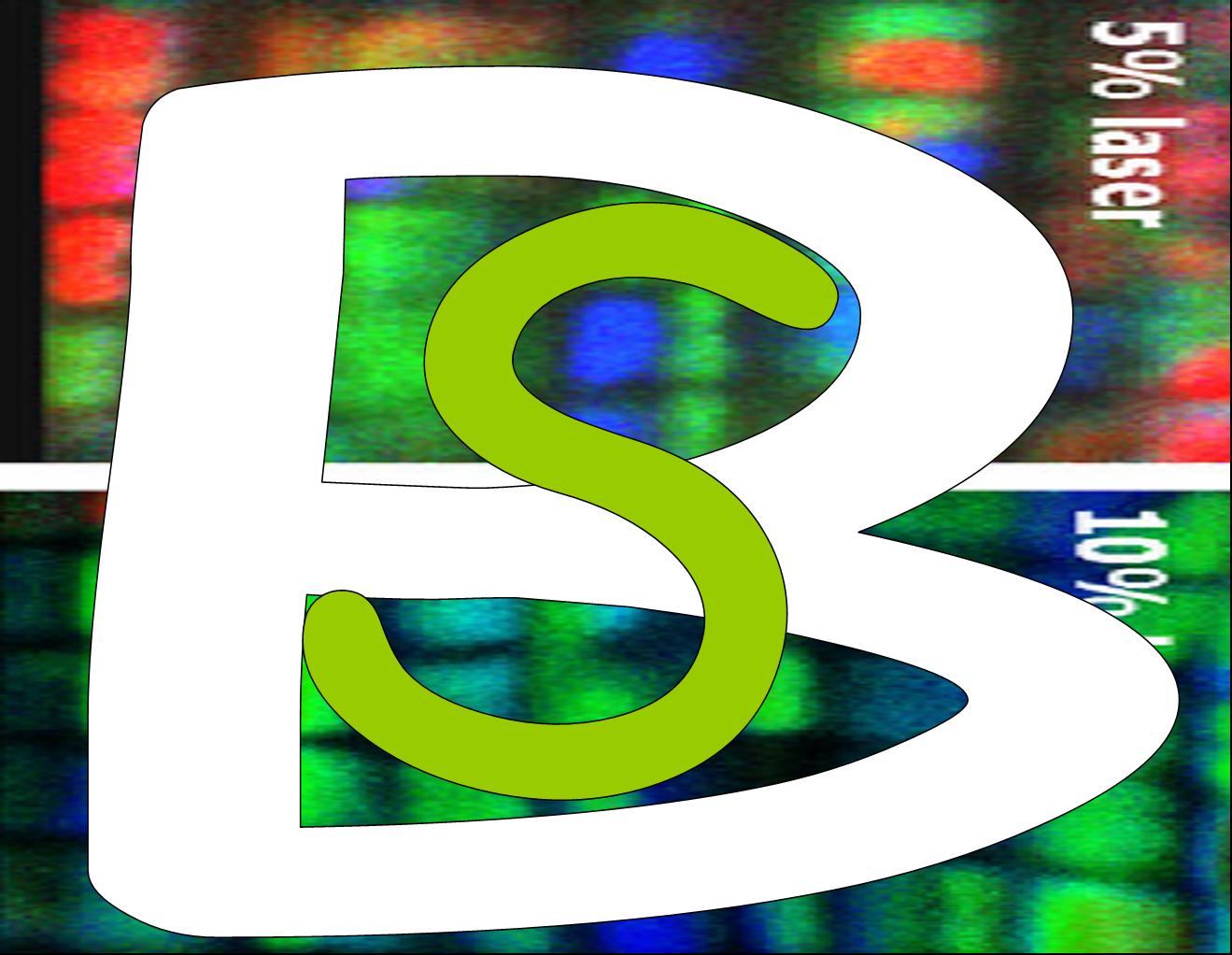 logosb